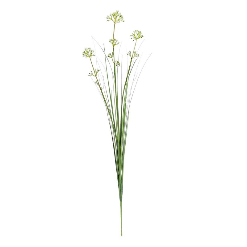 Alison's Acquisitions Wild Meadow Grass image number 0